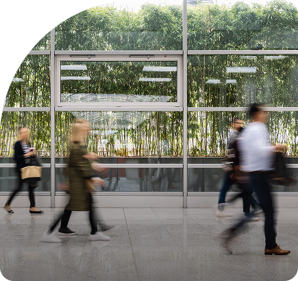 people walking with green trees in the background
